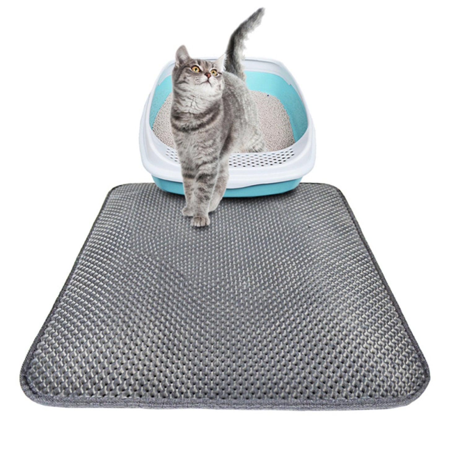 Double Layer Waterproof Litter Trapping Mat for Pets