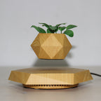 Magnetic Floating Flower Pot For Home Office Desk Decor Creative Gift