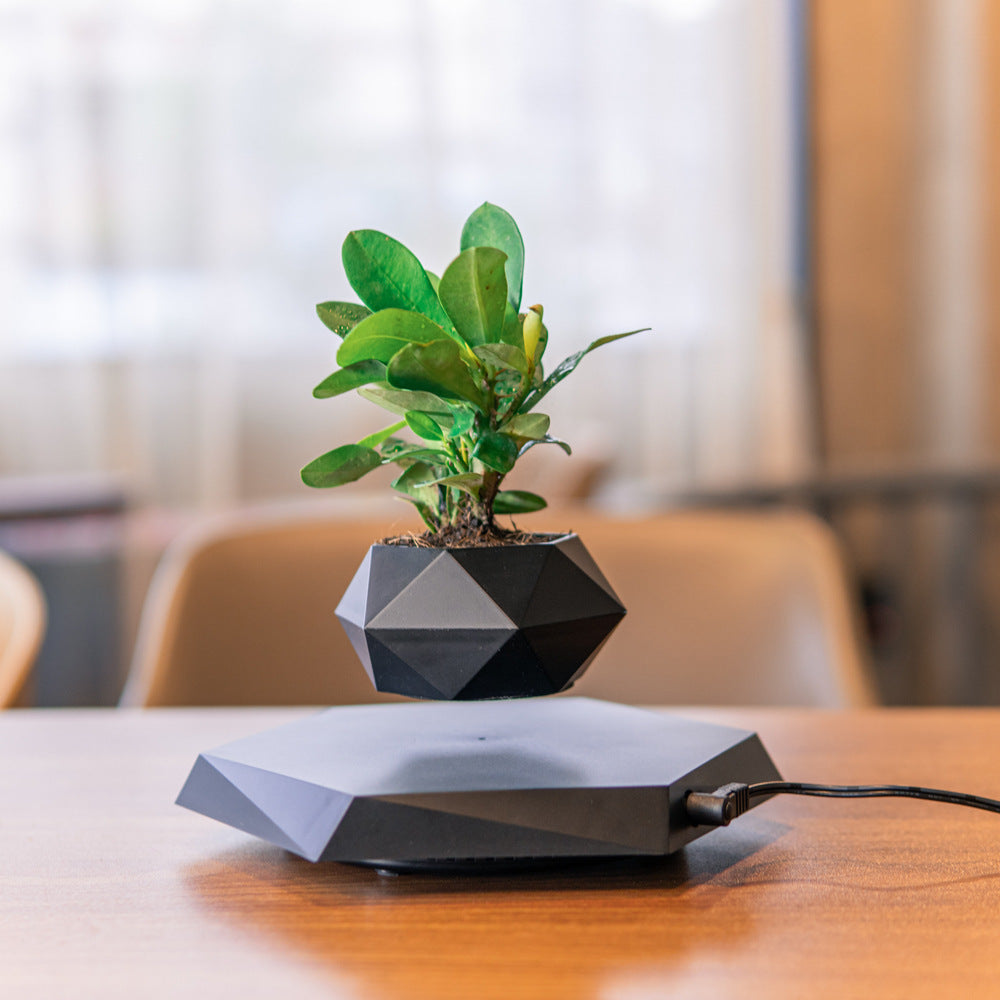 Magnetic Floating Flower Pot For Home Office Desk Decor Creative Gift