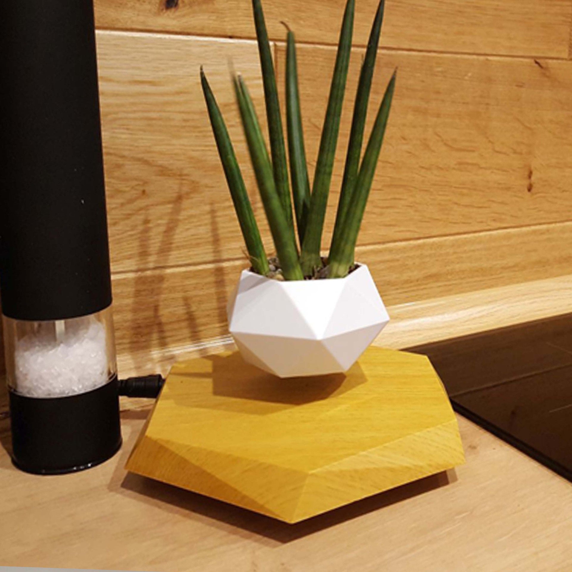 Magnetic Floating Flower Pot For Home Office Desk Decor Creative Gift