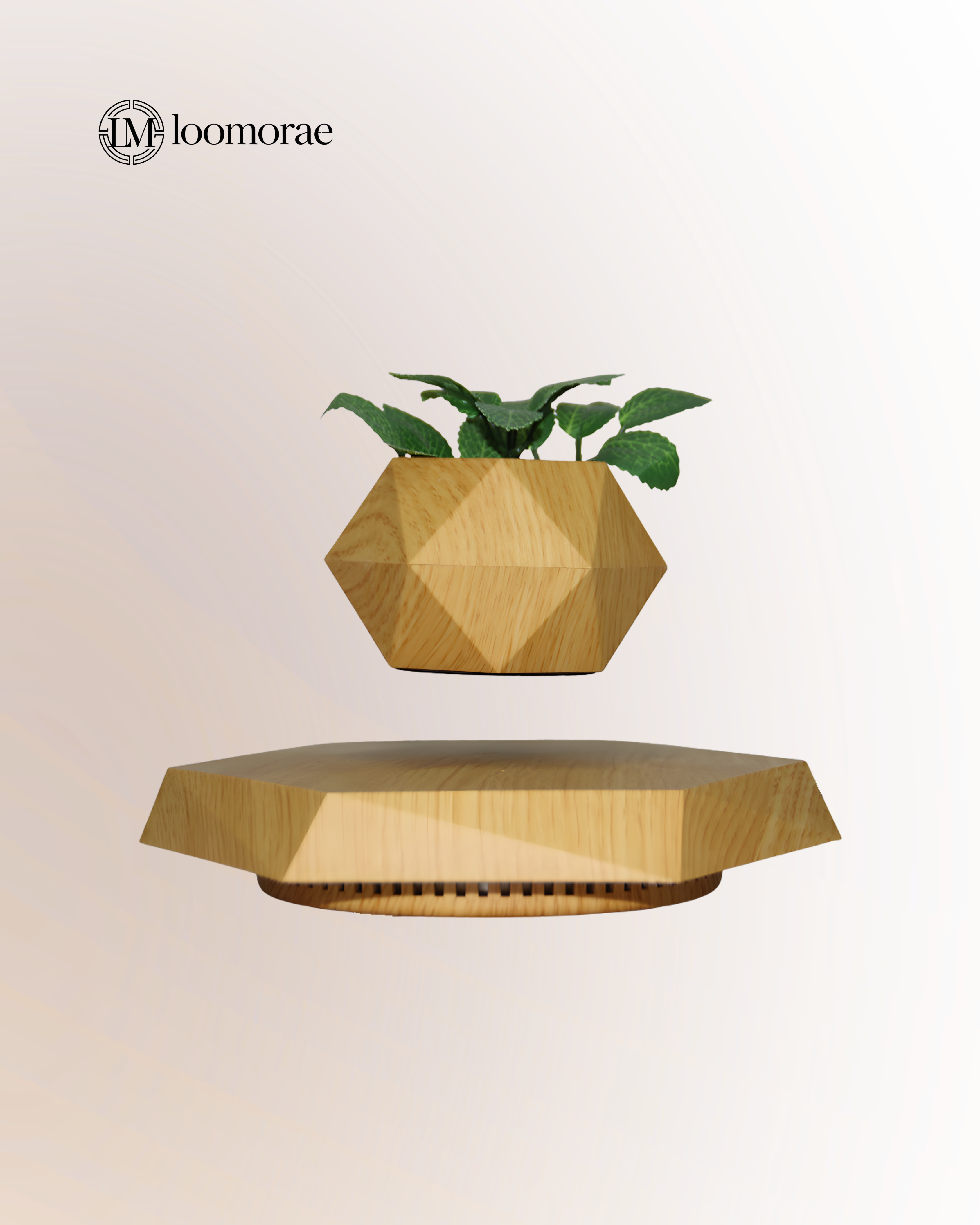 Magnetic Floating Flower Pot For Home Office Desk Decor Creative Gift