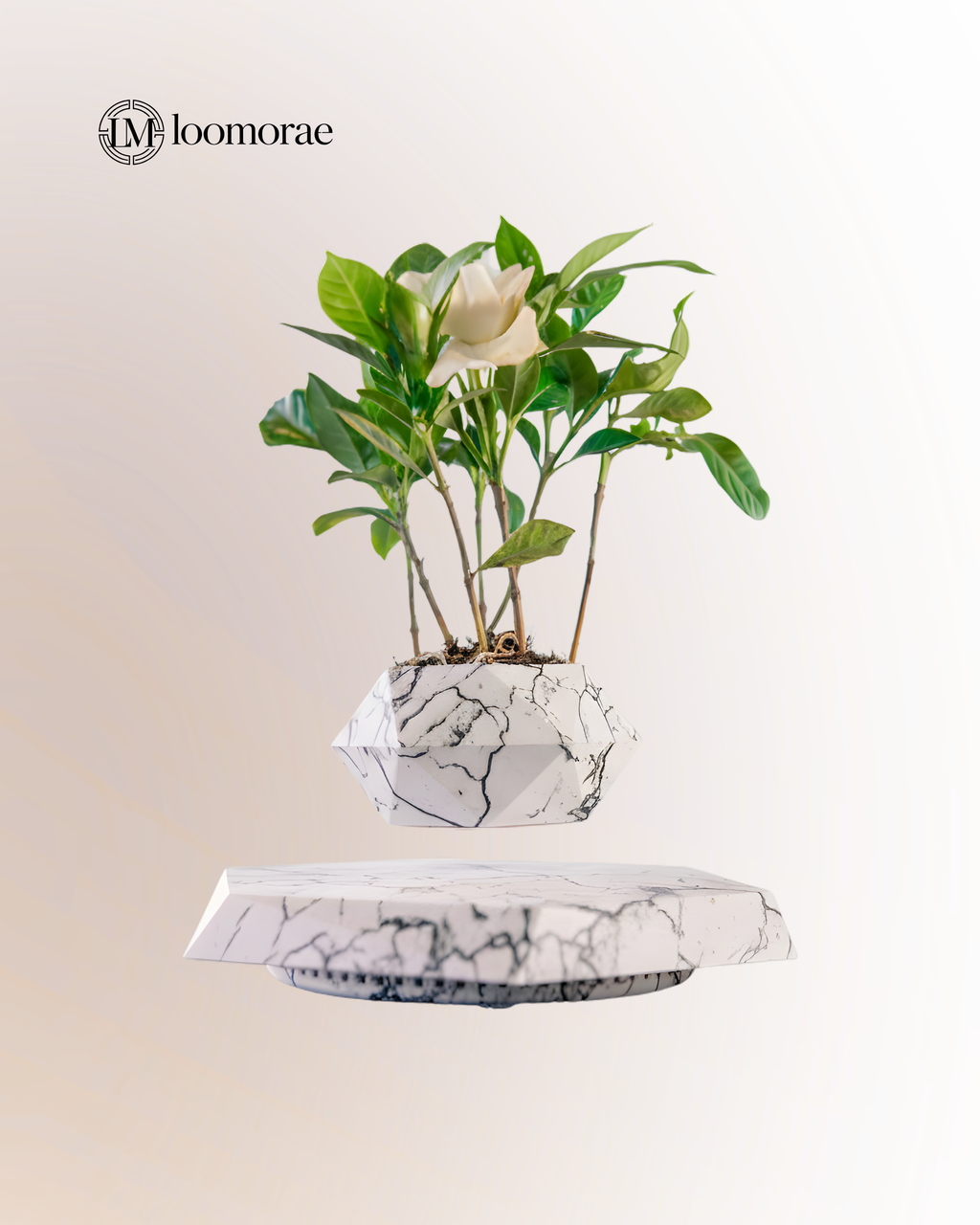 Magnetic Floating Flower Pot For Home Office Desk Decor Creative Gift