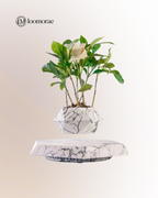 Magnetic Floating Flower Pot For Home Office Desk Decor Creative Gift