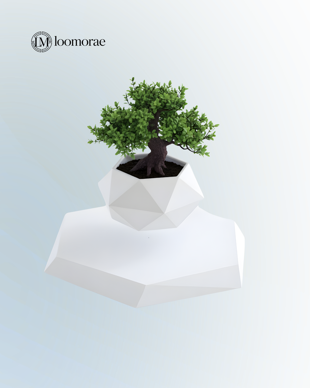 Magnetic Floating Flower Pot For Home Office Desk Decor Creative Gift