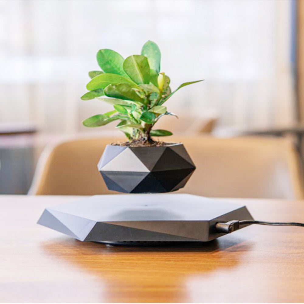 Magnetic Floating Flower Pot For Home Office Desk Decor Creative Gift