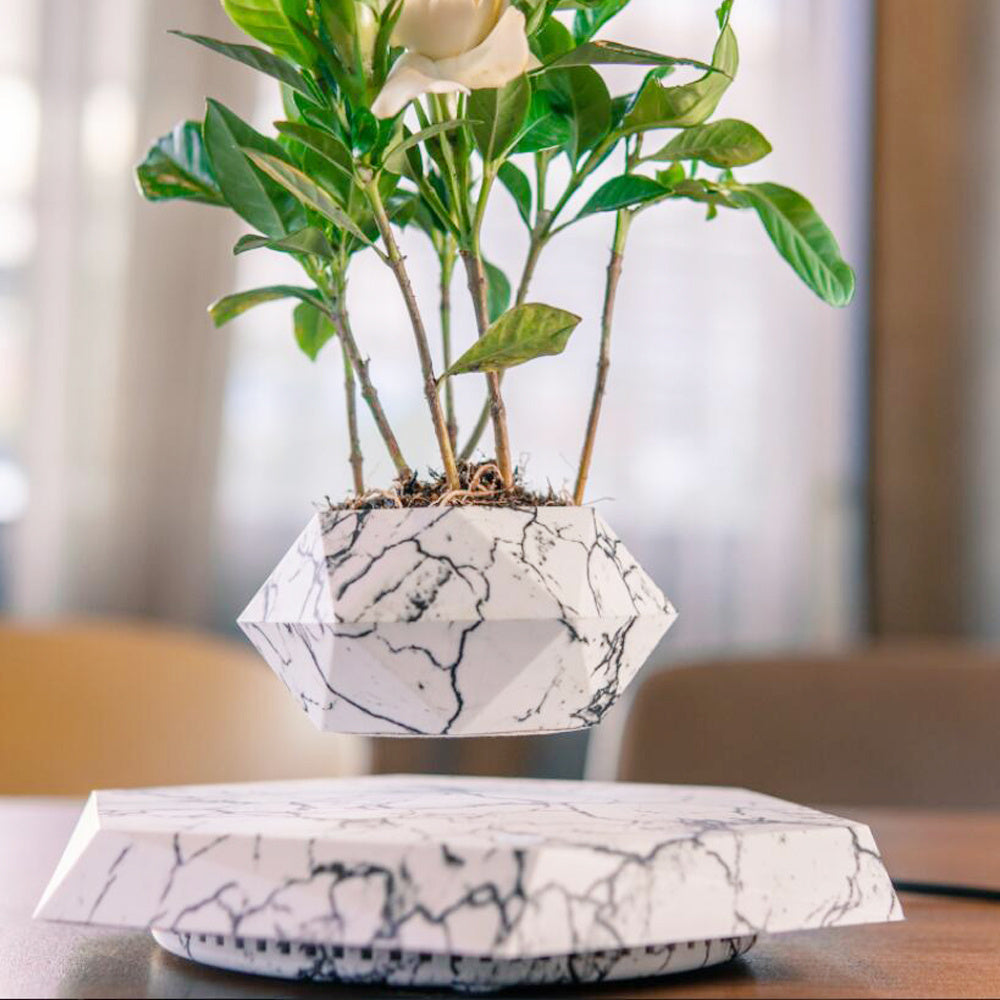Magnetic Floating Flower Pot For Home Office Desk Decor Creative Gift